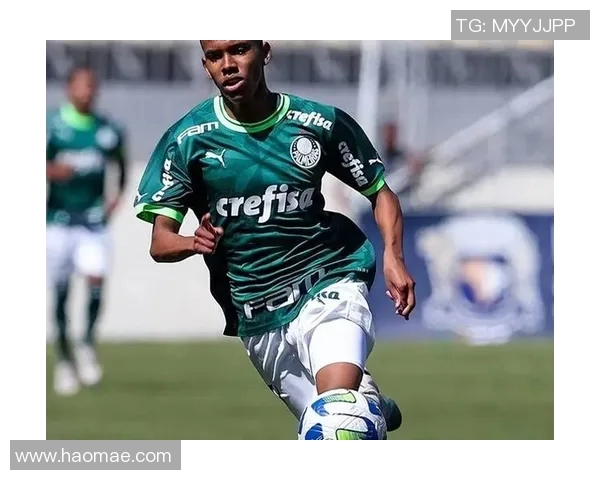 全球足球巨星实力排行2025：顶级球员能力解析与排名对比